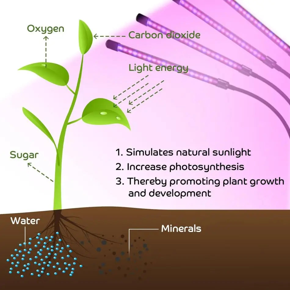 Indoor Plant Grow Light: Full Spectrum, Timer, Dimmable